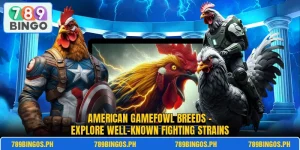 American Gamefowl Breeds – Explore Well-Known Fighting Strains