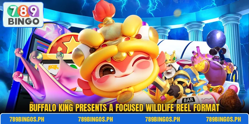 Buffalo King presents a focused wildlife reel format