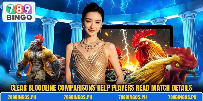 Clear bloodline comparisons help players read match details Clear bloodline comparisons help players read match details