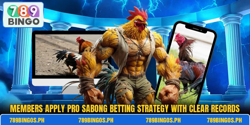 Members apply Pro sabong betting strategy with clear records Members apply Pro sabong betting strategy with clear records