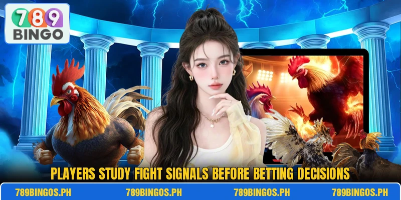 Players study fight signals before betting decisions