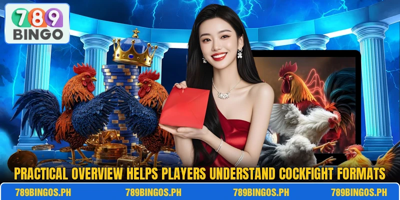 Practical overview helps players understand cockfight formats Practical overview helps players understand cockfight formats