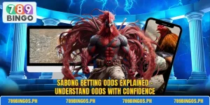 Sabong Betting Odds Explained – Understand Odds With Confidence