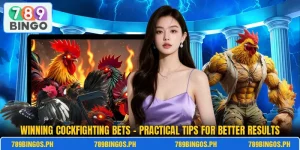 Winning Cockfighting Bets – Practical Tips For Better Results