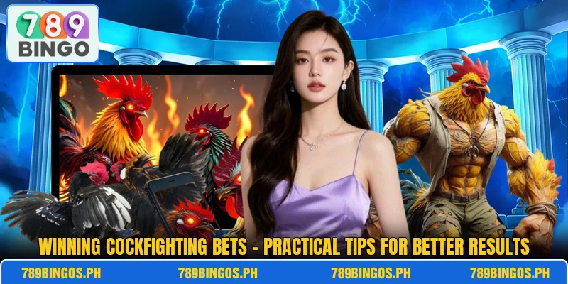Winning Cockfighting Bets – Practical Tips For Better Results