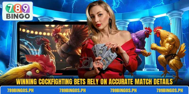 Winning cockfighting bets rely on accurate match details